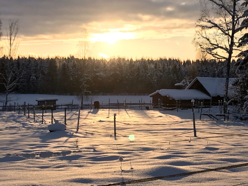 Talvinen auringonlasku.