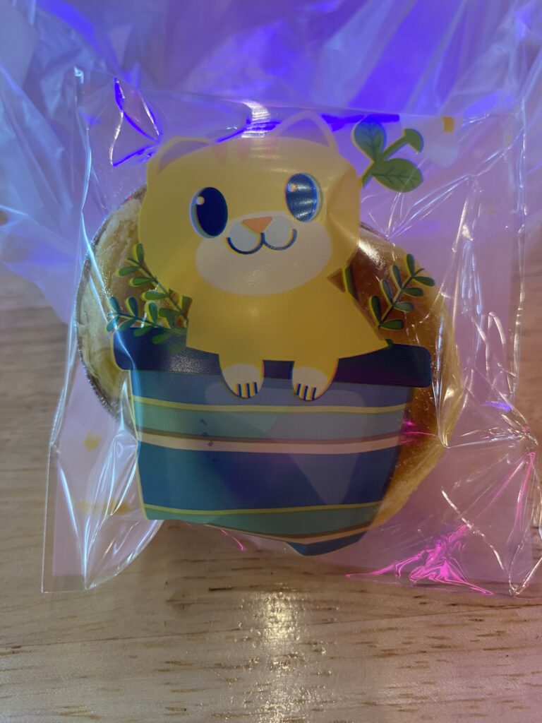 Söpö, mutta paljon turhaa muovia tässä kissapakkauksessa.